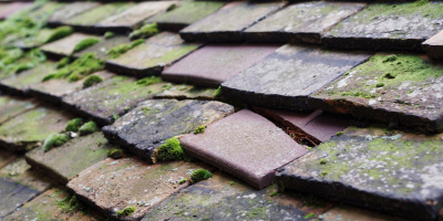 Tebworth roof repair costs